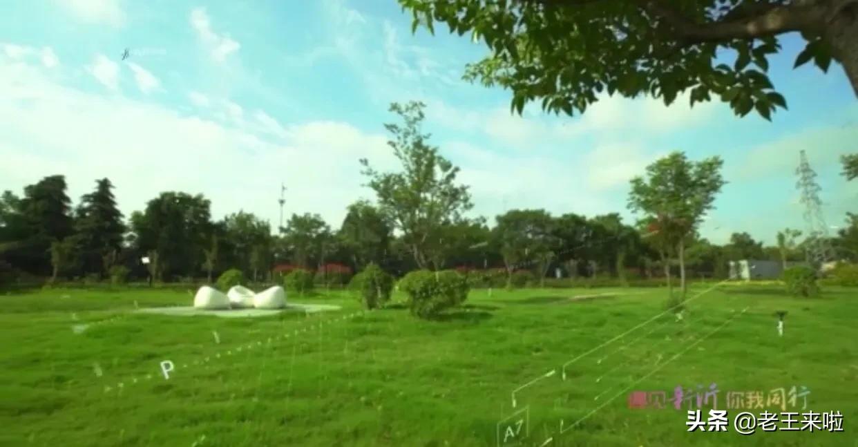 全省最美!新沂城市水环健身步道入围!