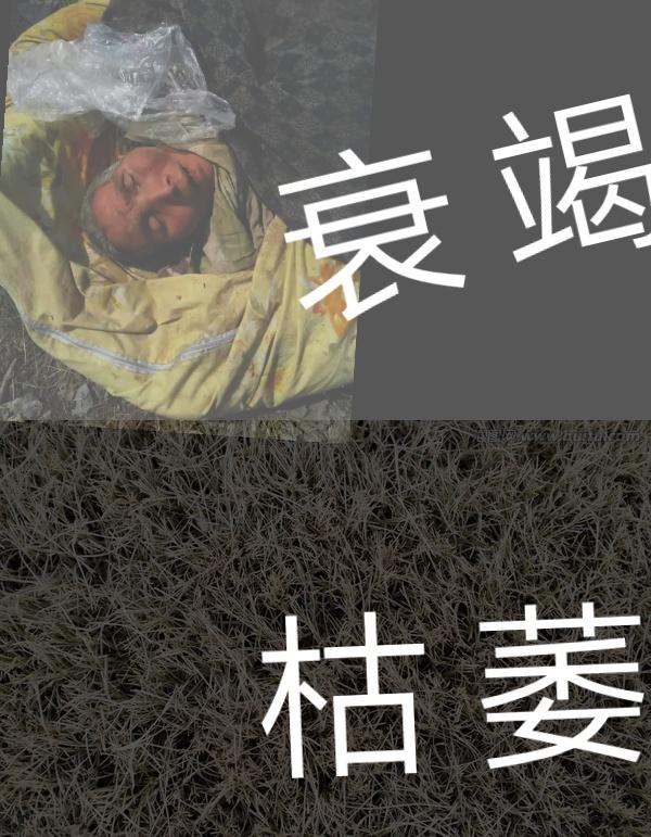 年迈父母老了身体不能自理，瘫痪在床十年之久，作为子女你怎么办