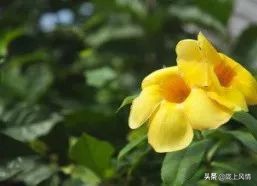 倾情托起未来的蓝天——启迪心智幼儿园的一节课