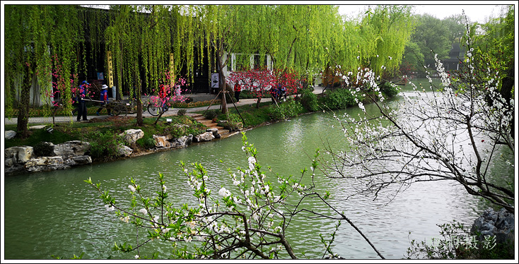 扬州夏日的瘦西湖风景,三月的扬州瘦西湖