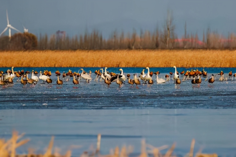 张家口旅游免费景点,张家口旅游攻略草原天地图