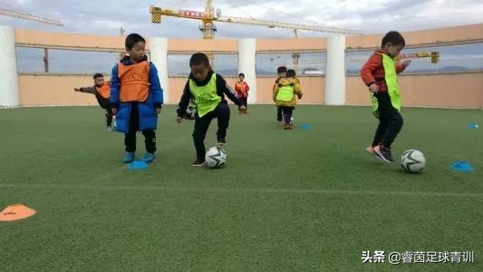 5-8岁足球训练方法,5岁足球小将训练视频