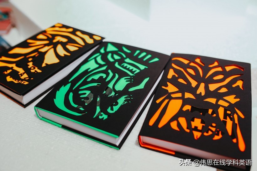 教育是让孩子赢在起跑线上,郑强谈教育赢在起跑线上