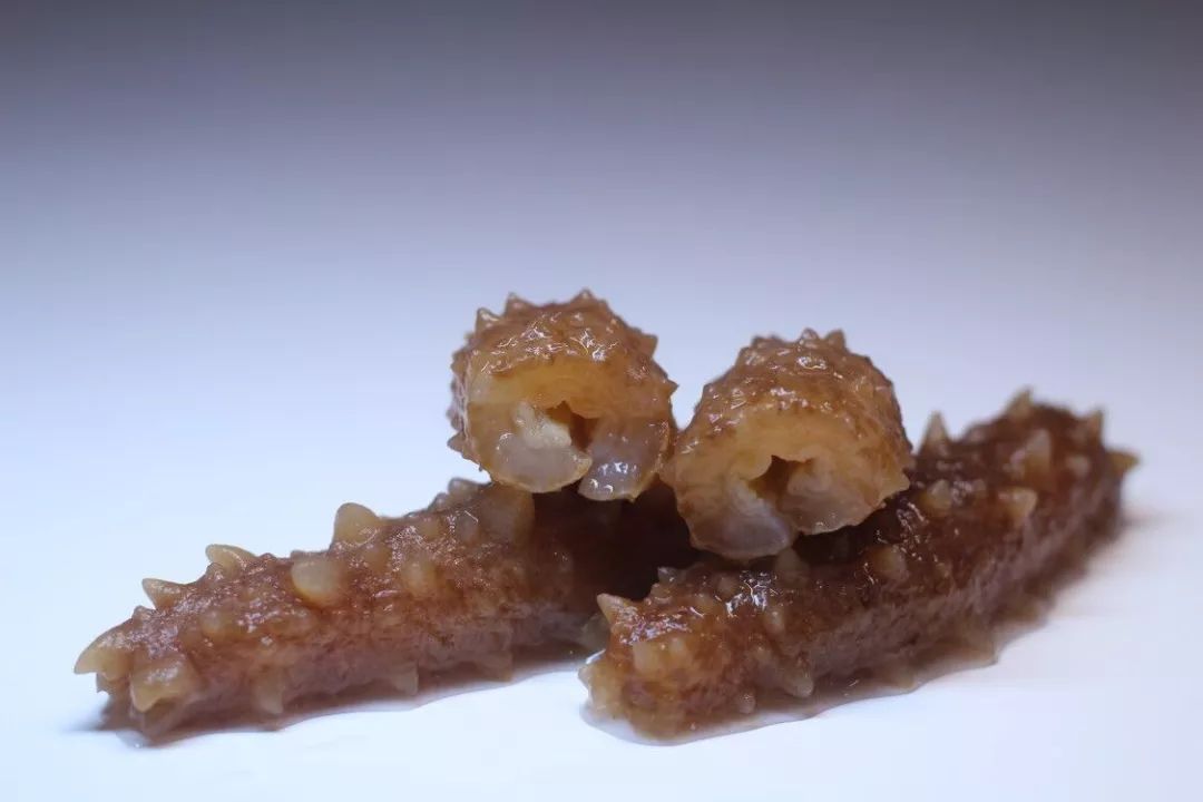 新西兰海参官网,新西兰金刺参如何辨真假