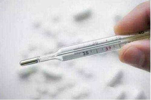 蛇是冷血动物动物吗,为什么蛇会被称为冷血动物