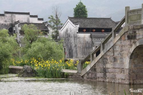 俗语50个基本常识,20句日常俗语大全及解释