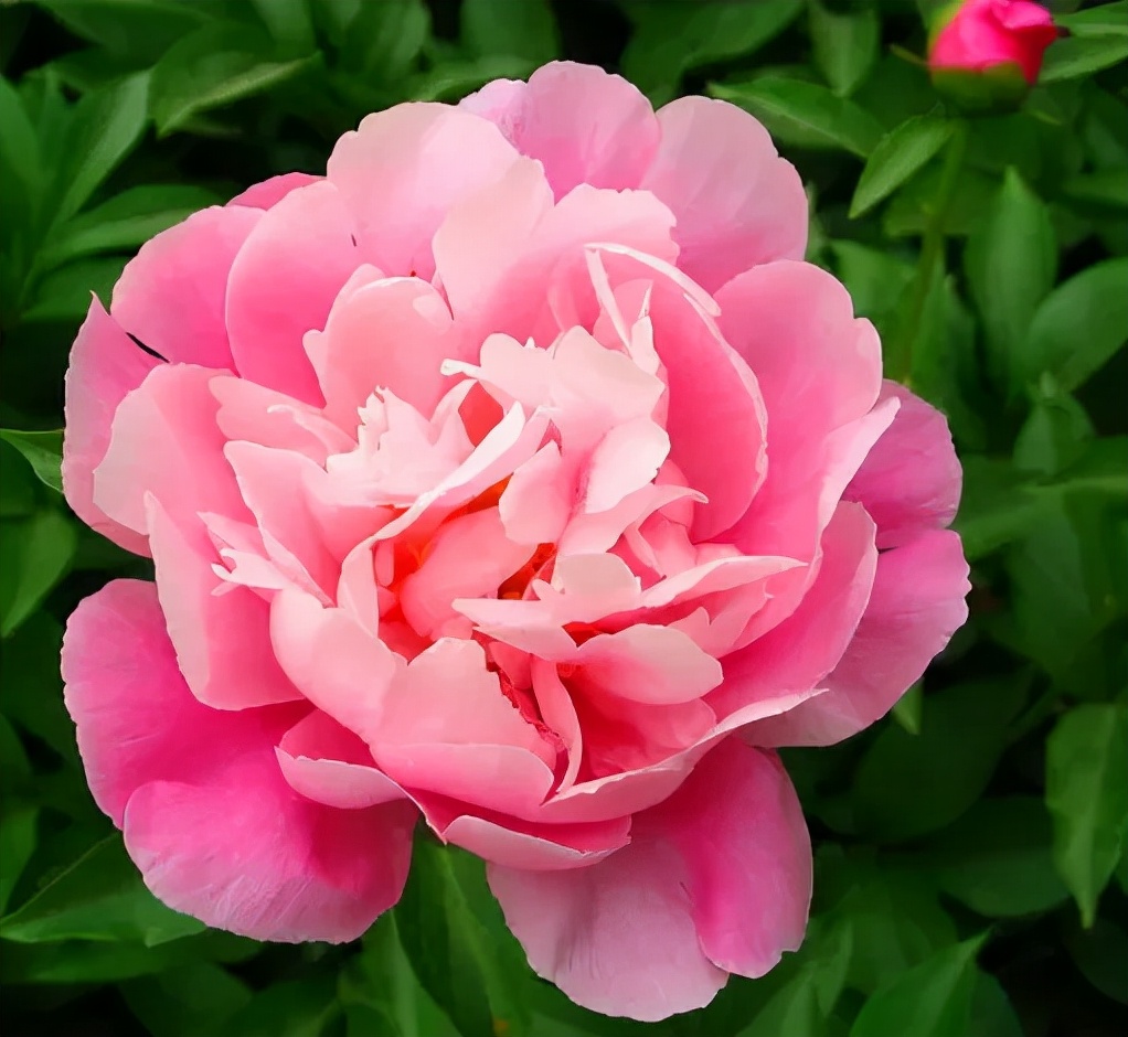 韩国护肤品欧蕙测评,韩国护肤品十大品牌排名欧蕙