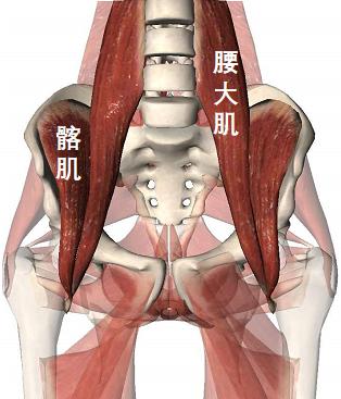 急性腰扭伤的正确睡姿,急性腰扭伤按哪个穴位图解