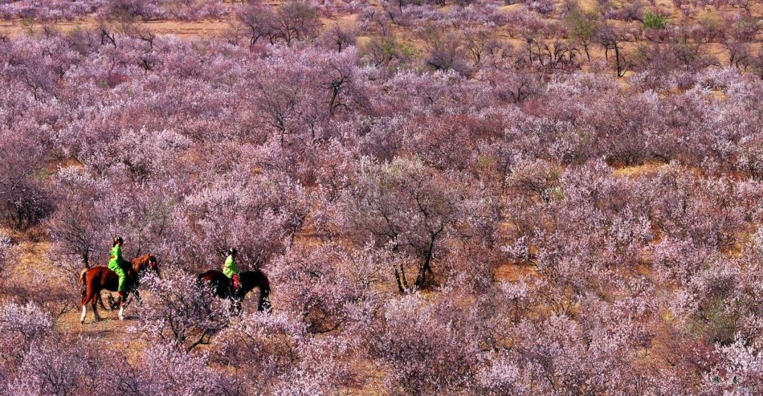 “五一”相约美丽鹤乡通榆旅游攻略