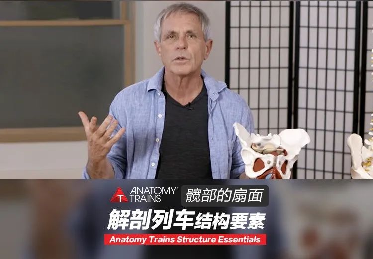 动作学院课程,动作学院体能培训