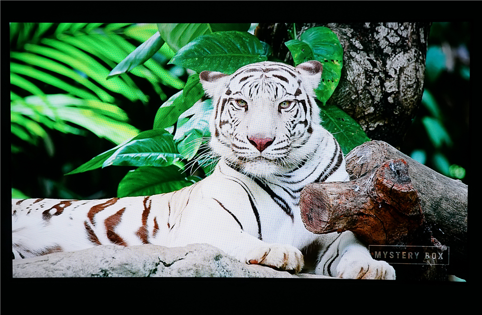 七千字！威动V20、艾美影库MS-300Pro、芝杜Z10高清*放播**器横评2