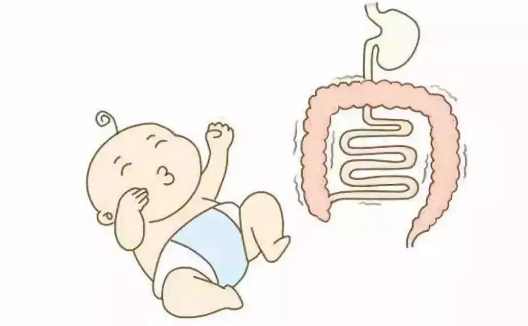 母婴健康系统有哪些,母婴生长发育