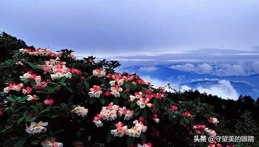 广西旅游壮美广西,下一站广西南宁完整版