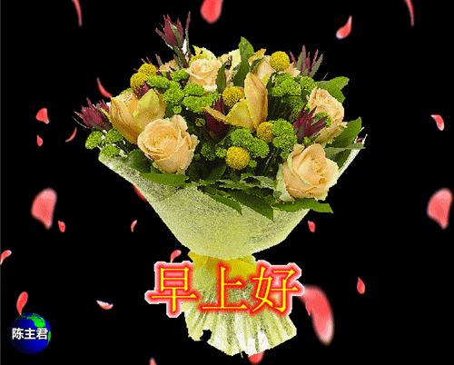 最新早安心语大全,最新早安心语经典语录图片