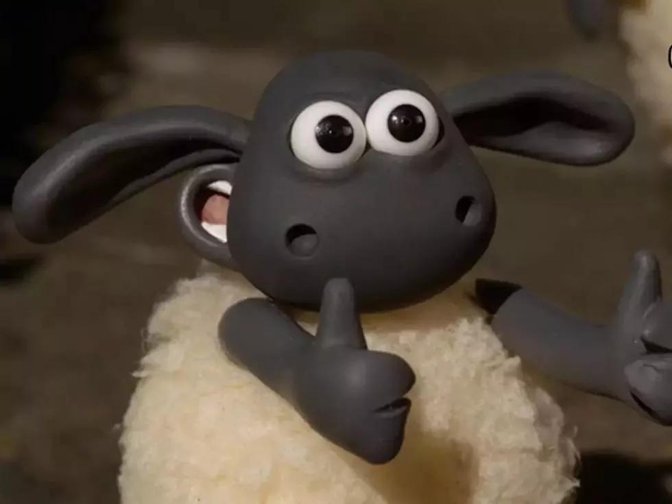 被洗缩水的羊毛衫还有救么,100%绵羊毛羊毛衫怎么清洗防缩水