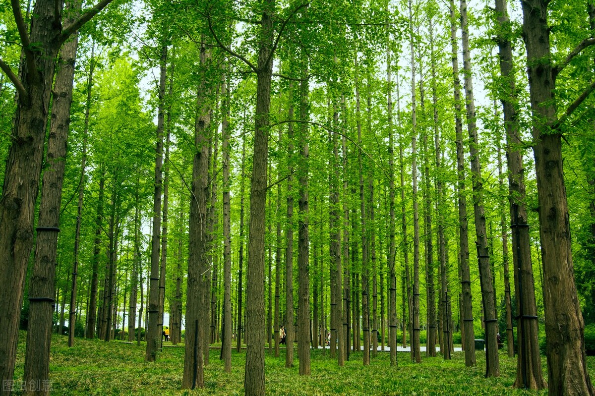 我教育孩子已经完败了,但我还要继续溺爱他