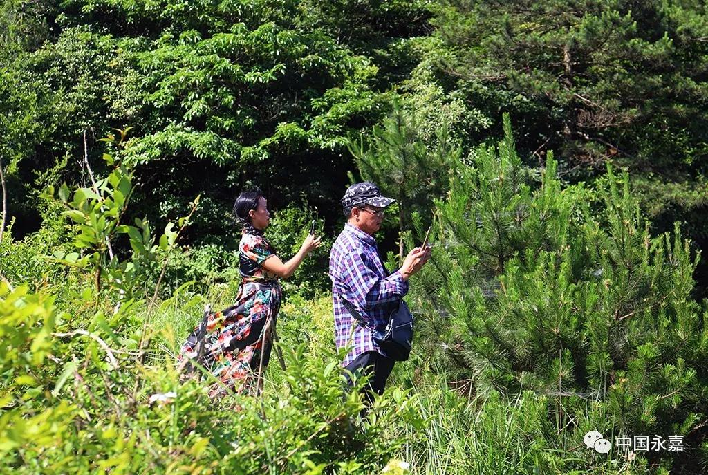 温州永嘉最高山峰,楠溪江最高的景区