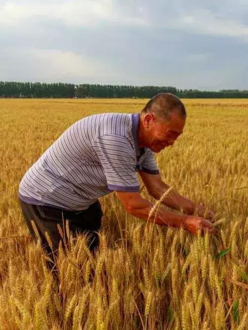 【超燃来袭】武清：70张笑脸，用稳稳的幸福，致敬可爱的祖国！