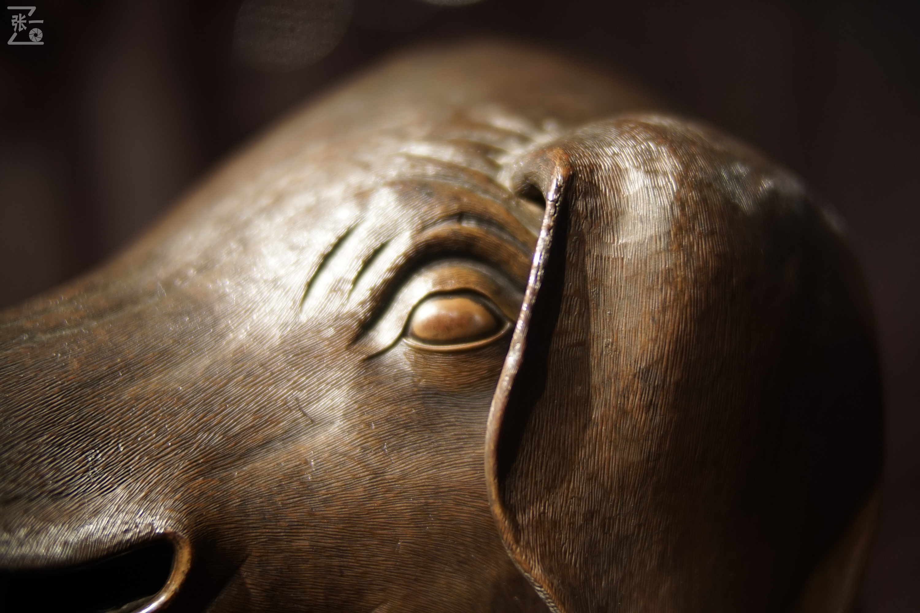 中国产微单,24-135镜头索尼