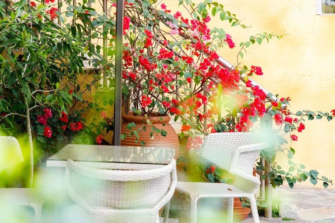 深圳夜晚小众打卡地景点,深圳十个小众打卡地