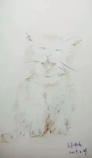 琬童画宇宙vol010|全然绽放地活着