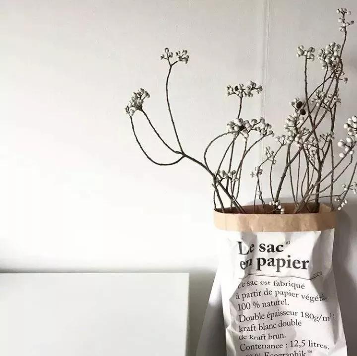 她用这种高颜值的干花装饰家里，隔壁邻居都惊叹不已