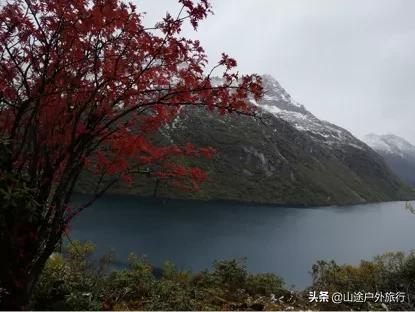 步步惊心的一天,步步惊心12剧情