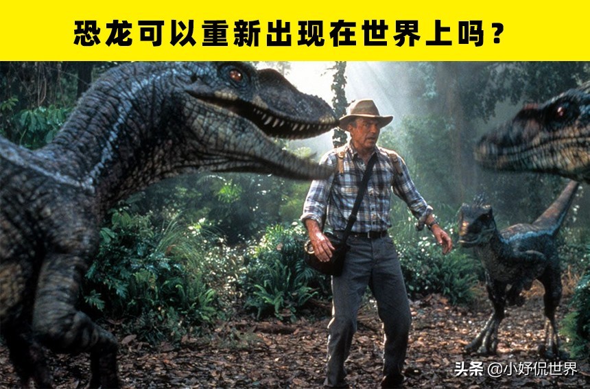 10个至今未被解开的恐龙之谜,关于恐龙的一切资料和恐龙的来源