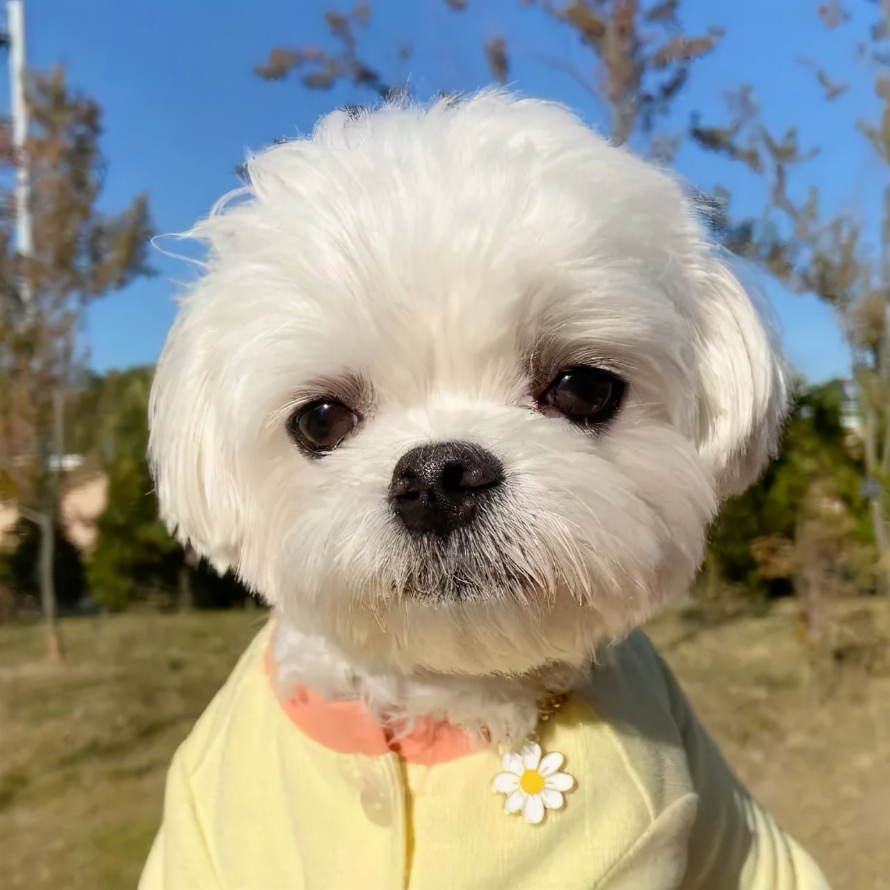 一组超好看的闺蜜头像,一组超好看的闺蜜头像一起来换呀