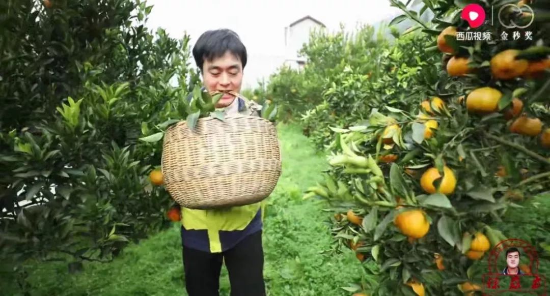 泪目他意外离世帮助6人重启新生,他失去双臂被迫乞讨登上央视