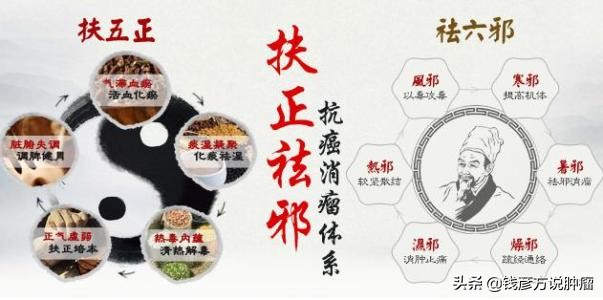 中医药中的靶向作用,中医药靶向药有哪些