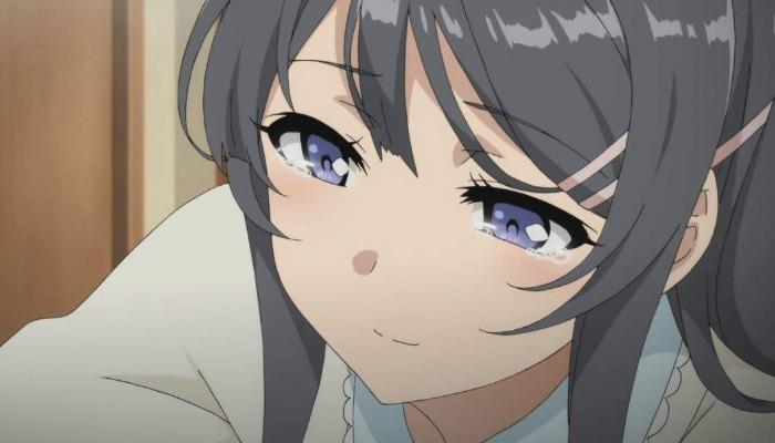 为什么那么喜欢樱岛麻衣,为什么大家喜欢樱岛麻衣