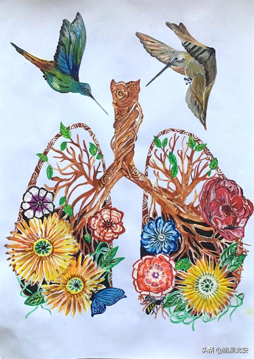 生命的故事绘本视频,生命的故事绘本绘画