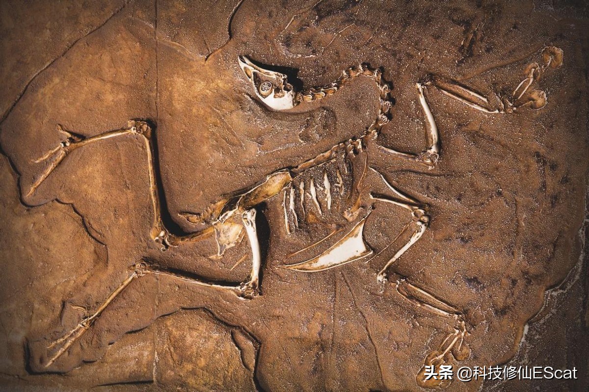 以人类目前的技术能复活恐龙吗,用ar技术复活中国远古时期的恐龙