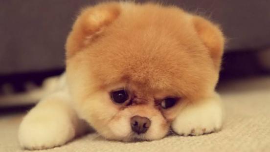 夏天跑步如何防中暑,夏天跑步如何避免湿气加重