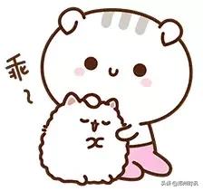 这本郑州通讯录太牛了！有了它走遍郑州都不怕