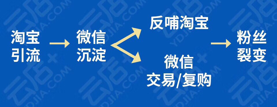 代购夫妻,代购夫妻转型记