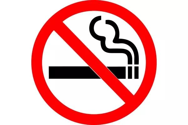 泰国酒店为什么不让带榴莲,为什么泰国酒店不让带榴莲