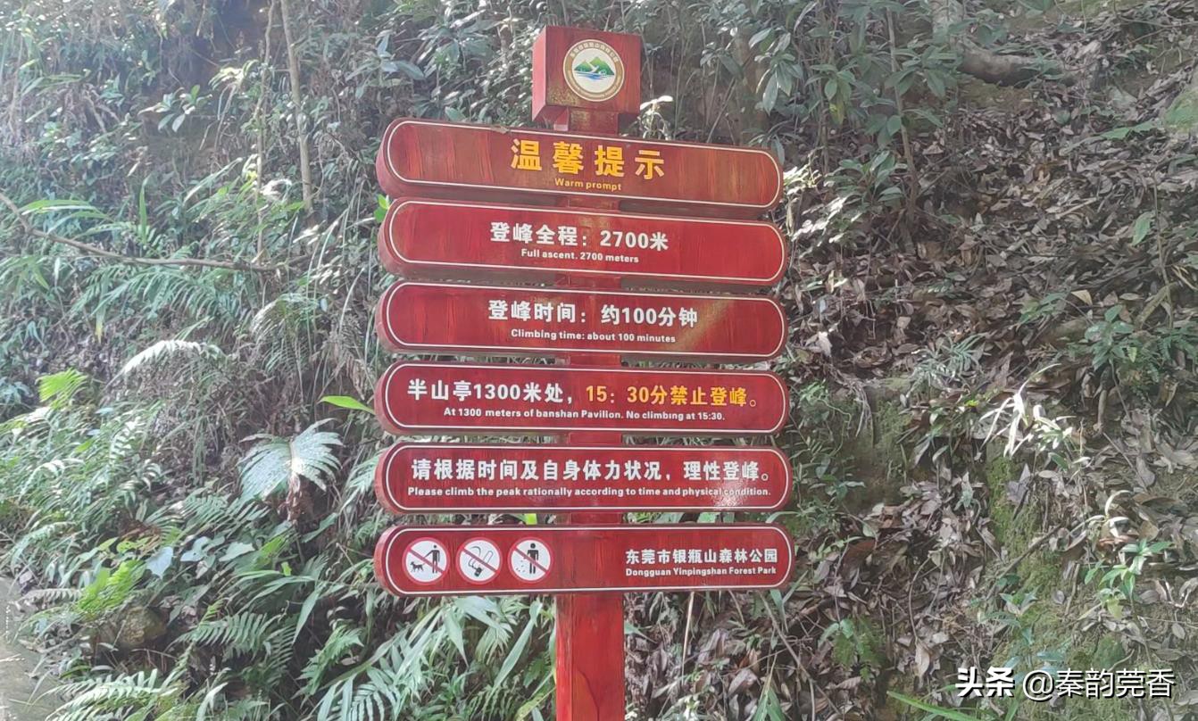 东莞银瓶山从哪个入口进入比较好,东莞第一高峰银瓶山爬上去要多久