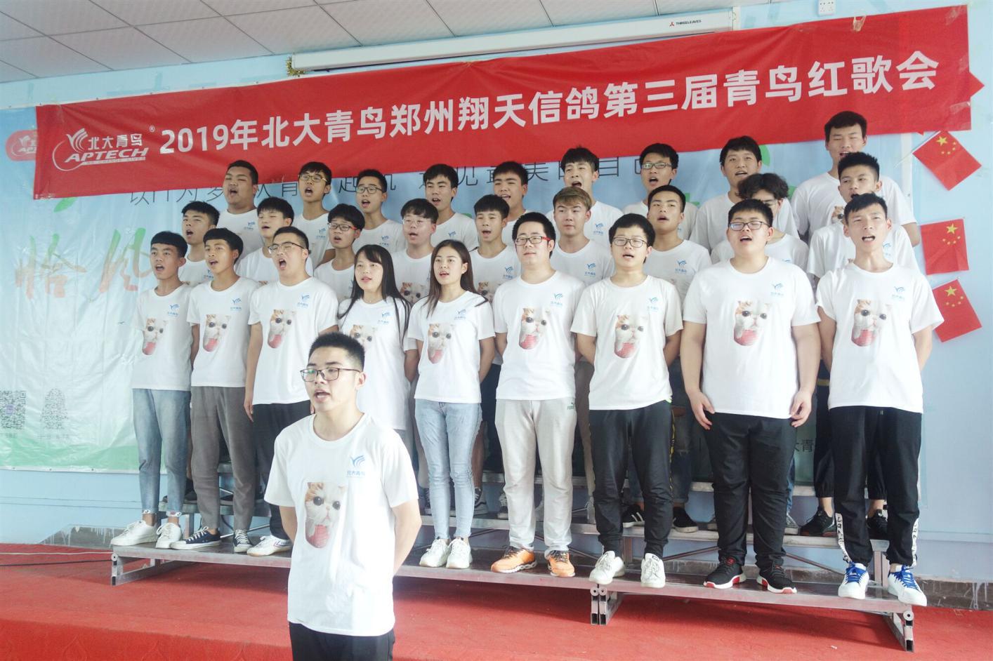 郑州北大青鸟翔天信鸽计算机学校,北大青鸟郑州翔天信鸽