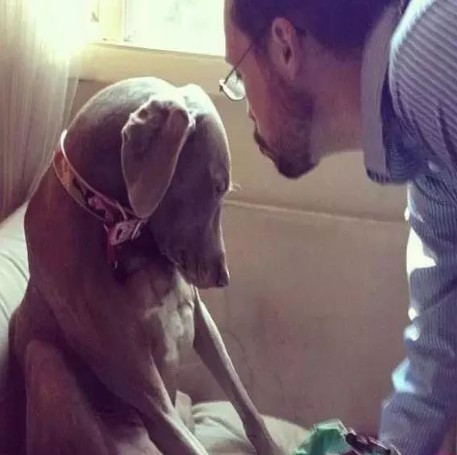 举报偷渡入境人员,偷渡入境的猫