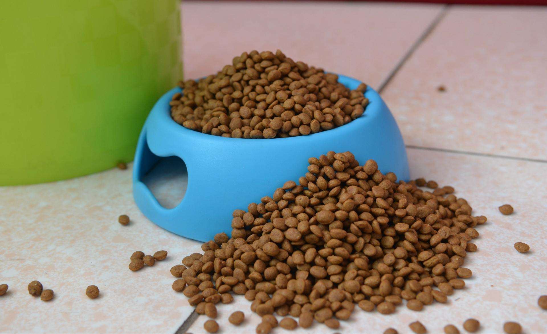 猫狗不能吃的条例,猫狗不能吃盐的骗局