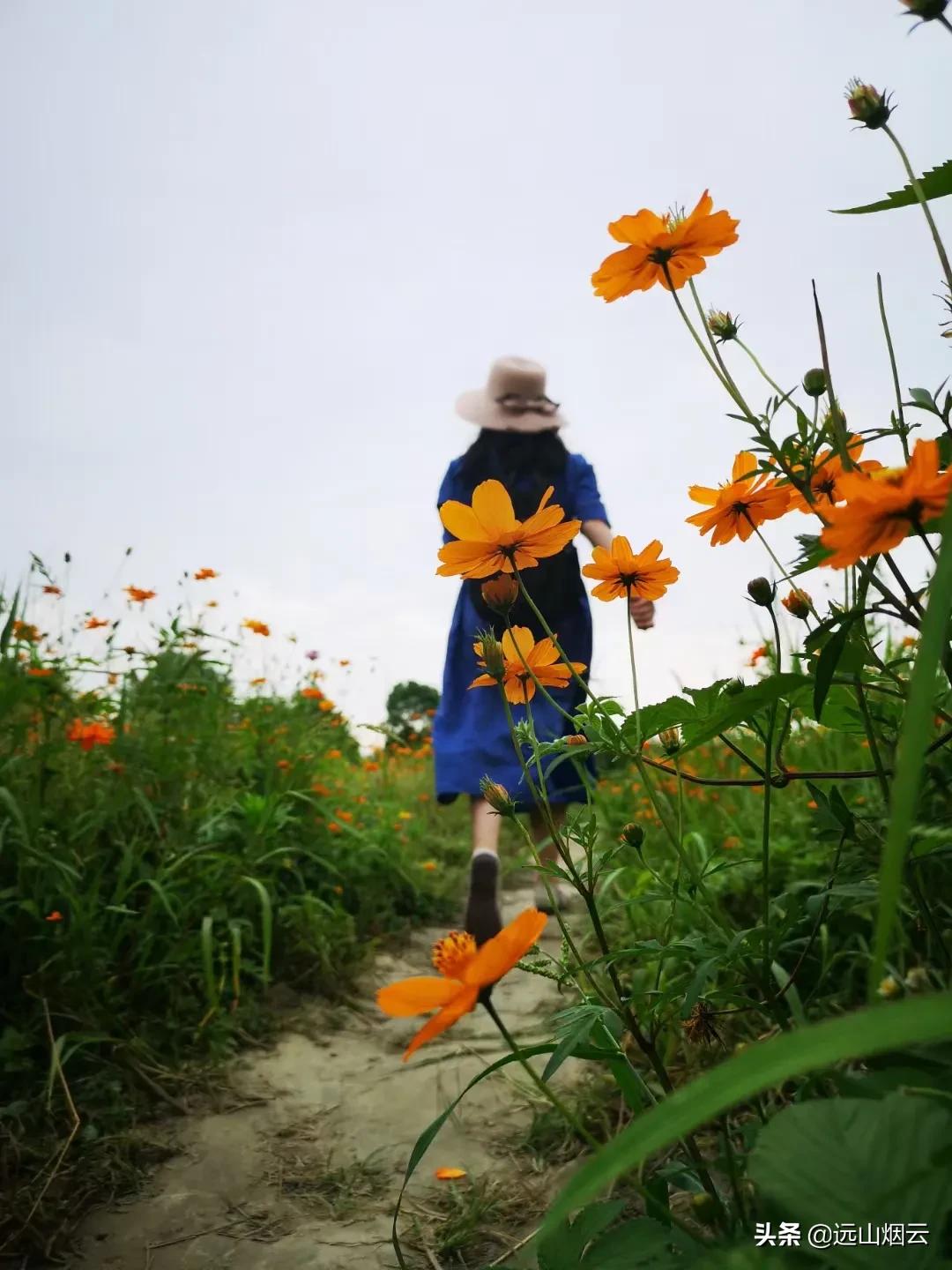 自拍杆拍摄使用技巧和方法,自拍杆拍照技巧和方法