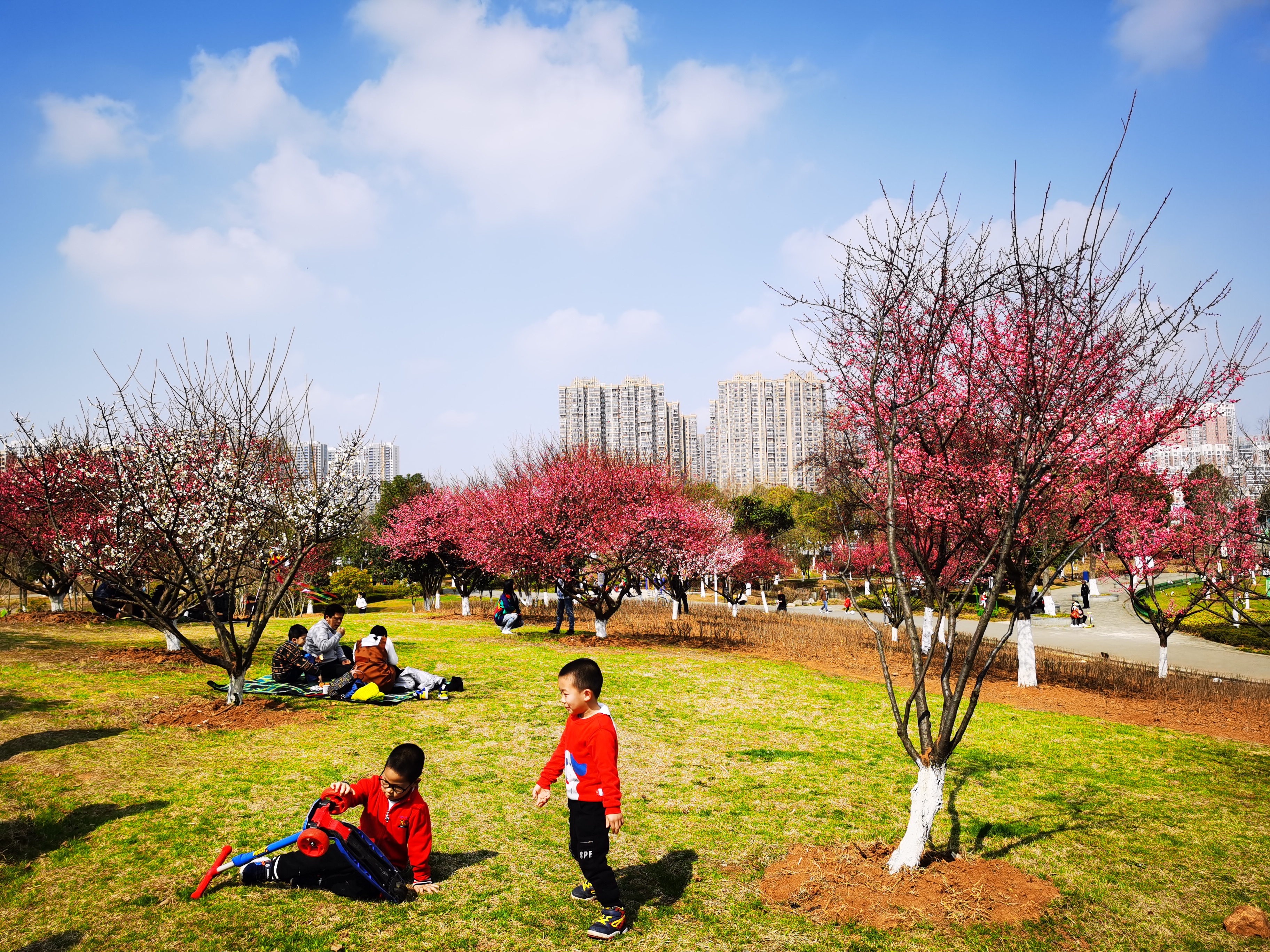 沉睡了千年的历史,沉睡的历史神秘的墓葬