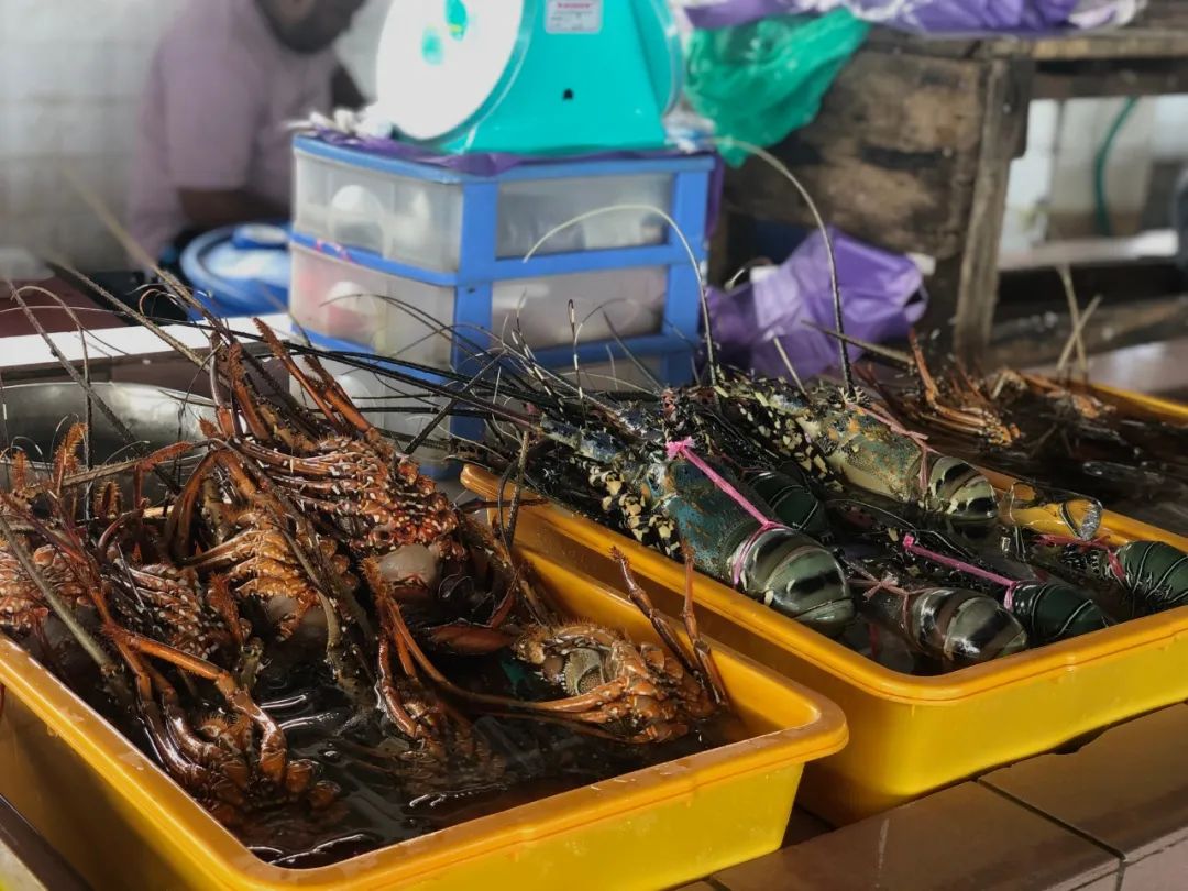 出不了门的心情,出不了门的日子让人心绪难平