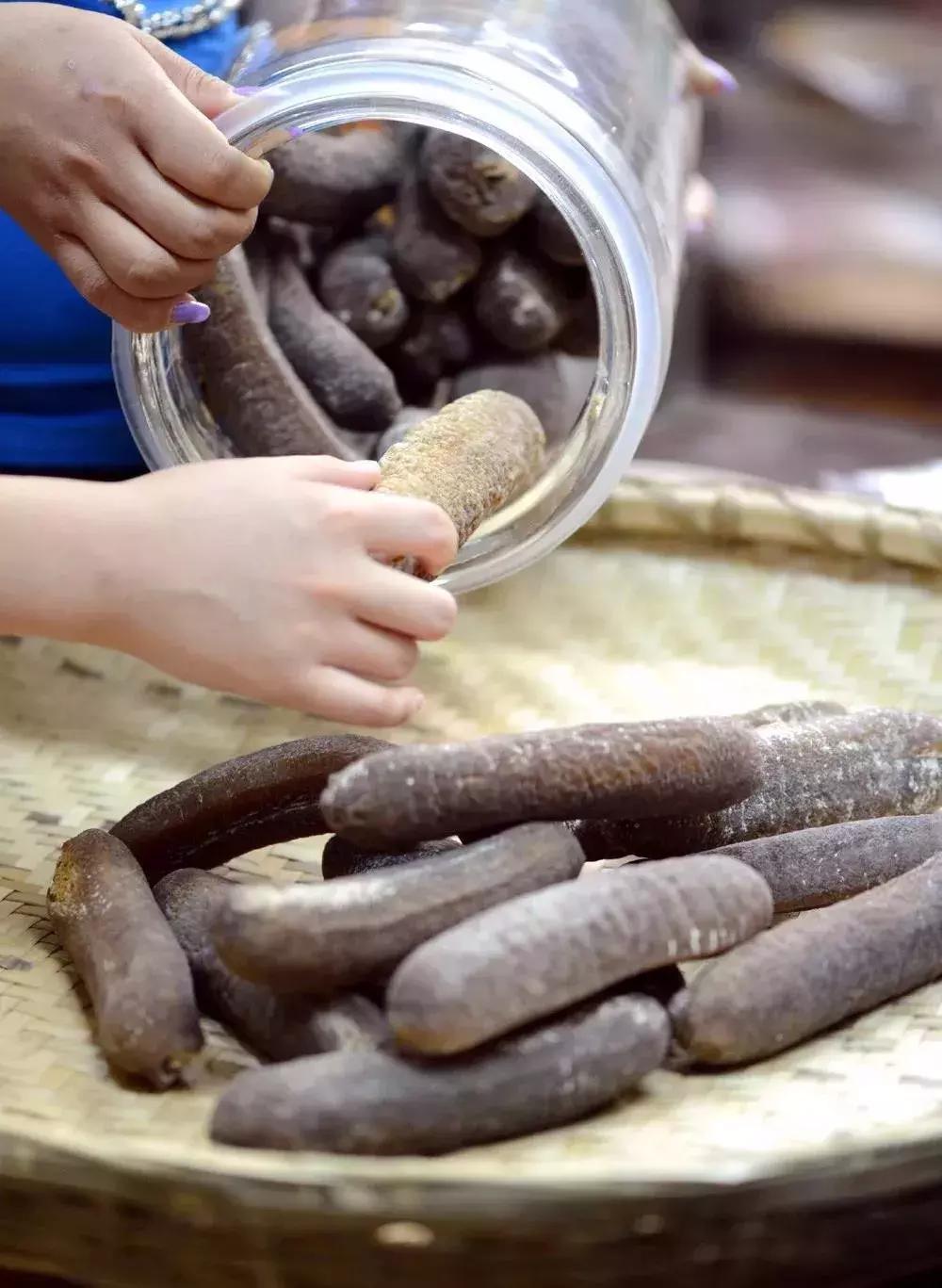 海参物种科普,海参100种图片