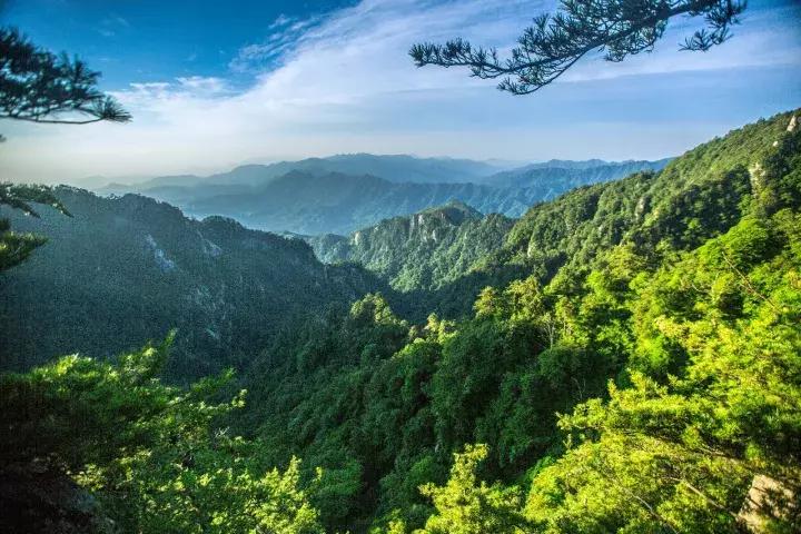 写意云山秀水国画图片,写意山水林间幽境