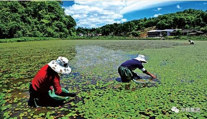 中核工业集团500强,中国核工业集团世界500强排名