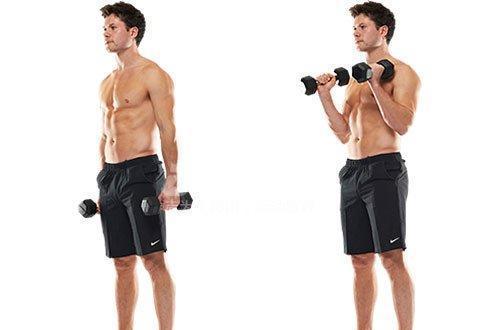 怎么锻炼小手臂力量让小手臂变粗,细手臂怎么练成全手臂很有力