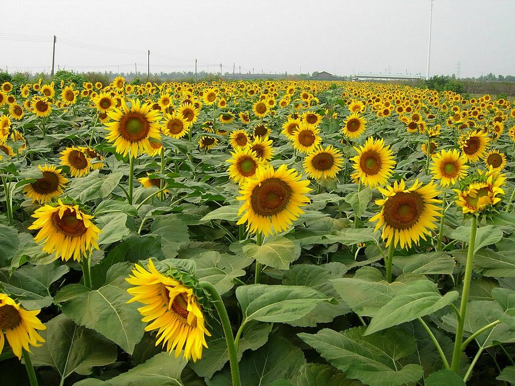 广州周边自驾游好去处亲子,广州周边带小孩自驾游推荐路线